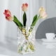 thumbnail image 5 of Jarrón , jarrón transparente sólida engrosada, jarrones de cristal decorativos de cristal modernos para flores, pieza Sunnimix Jarrón hidropónico, 5 of 7