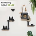 thumbnail image 3 of Estantes de Pared para Gatos FUKUMARU Juego de 5 Piezas con Hamaca, Casita y Más, 3 of 7