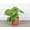 Terra Cotta, variant on Live Green Philodendron Plant - 4" Eco Pot - Natural
