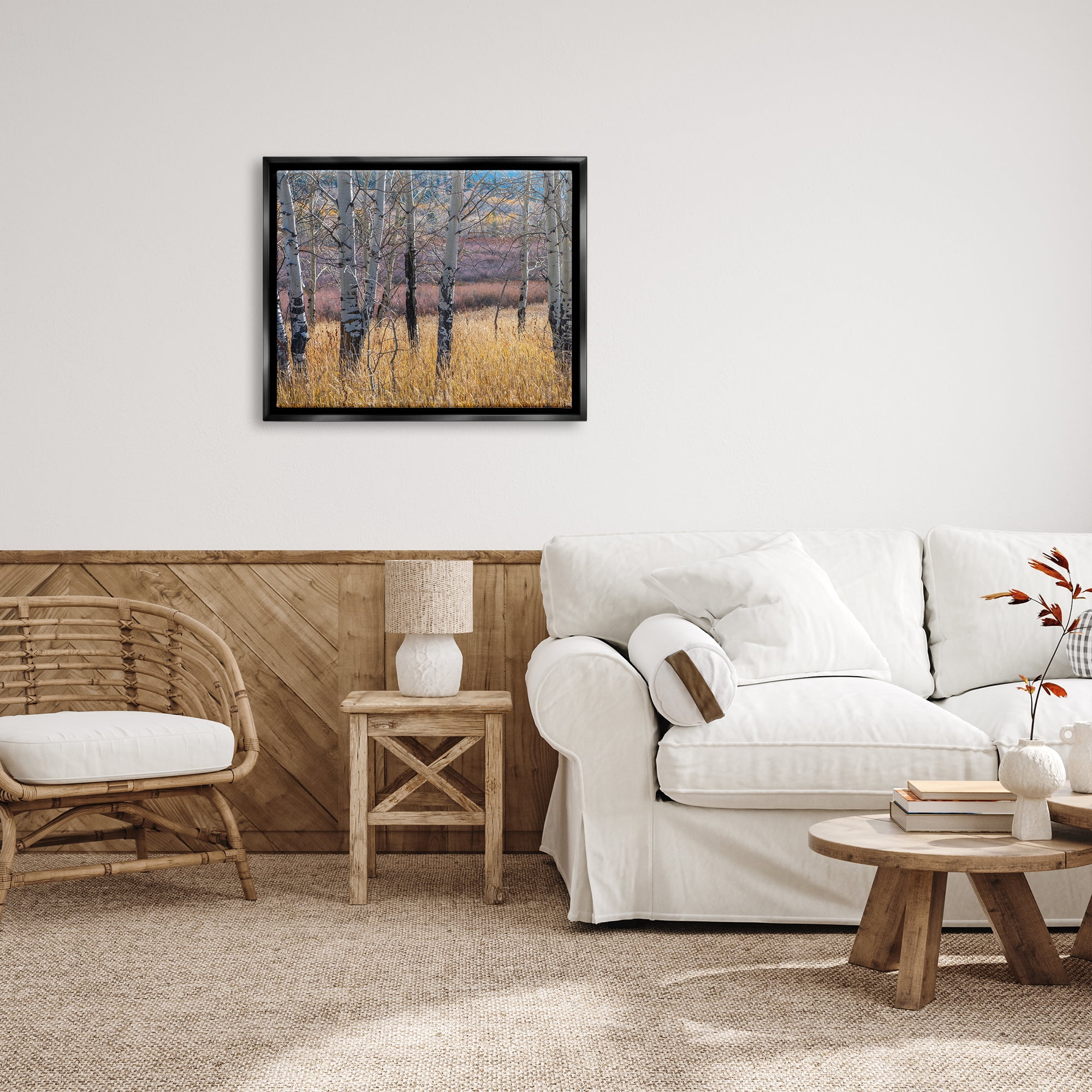 Stupell Industries Birch Trees Photography Nature Photography Black Floater Framed Art Print Wall Art, 31 x 25