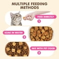 thumbnail image 4 of Puddonio Salmon Freeze Dried Cats and Dogs Treats, 6 oz, 4 of 9