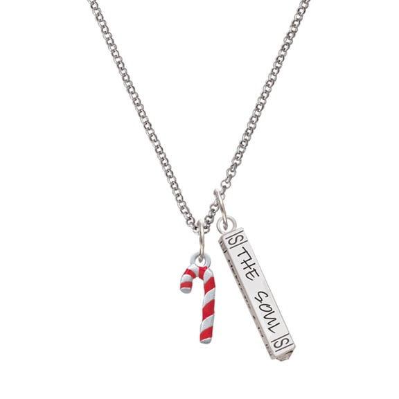Delight Jewelry Silvertone 3-D Red Enamel Candy Cane Silvertone Hope Anchors the Soul Bar Charm Necklace, 23"