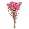 thumbnail image 1 of Vickerman H1EVR400 Fleurs Éternelles Rose Clair 13-14 Po., 1 of 1
