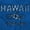 Royal, variant on Hawaii Hibiscus Flower Distressed HI Hoodie Sweatshirt Women Men Brisco Brands S