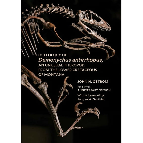 Osteology of Deinonychus Antirrhopus, an Unusual Theropod from the Lower Cretaceous of Montana: Bulletin 30, (Paperback)