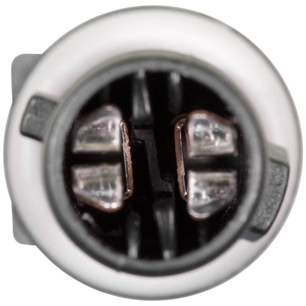 WVE 1P1827 Side Marker Light Socket