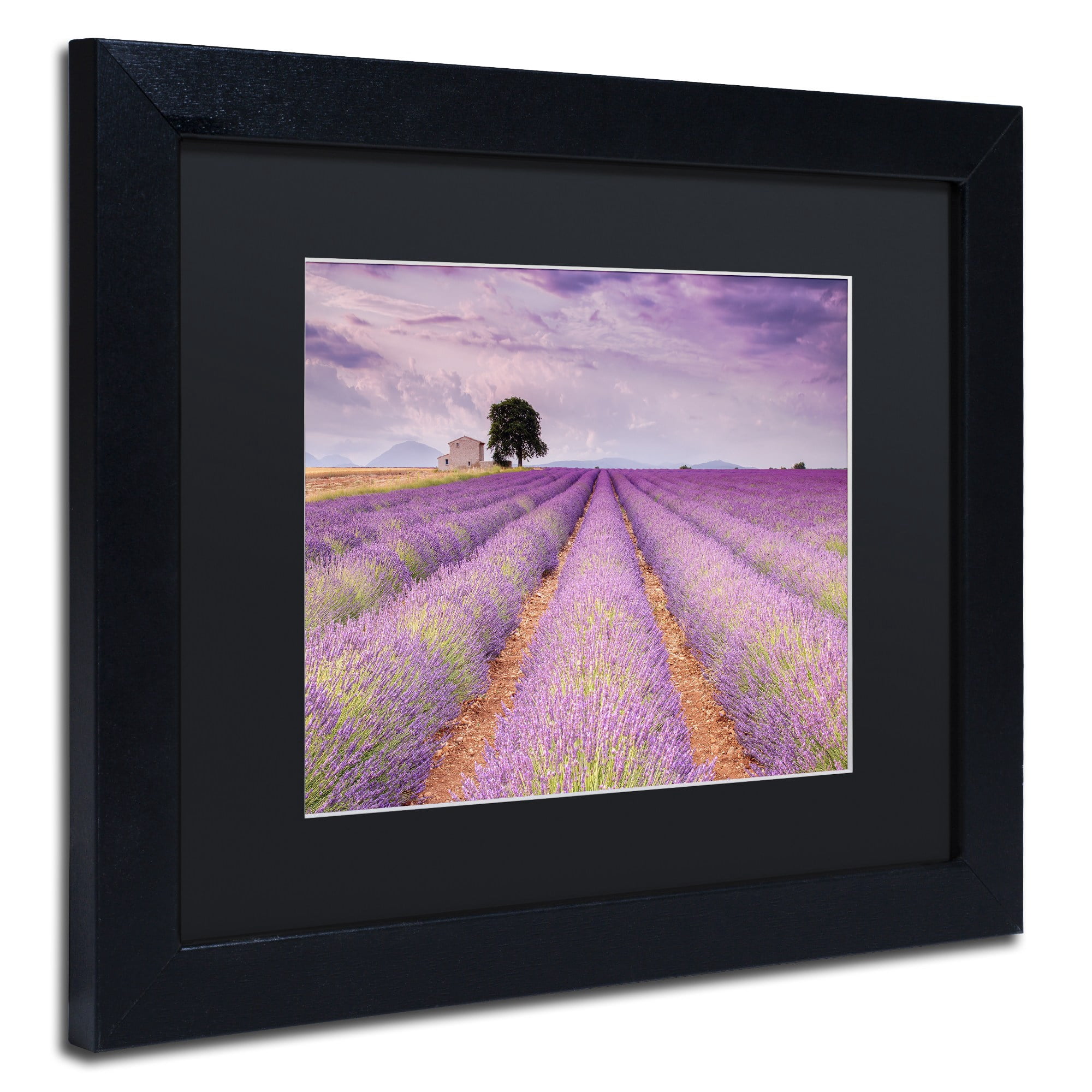Trademark Fine Art 'Stone House' Canvas Art by Michael Blanchette Photography, Black Matte, Black Frame