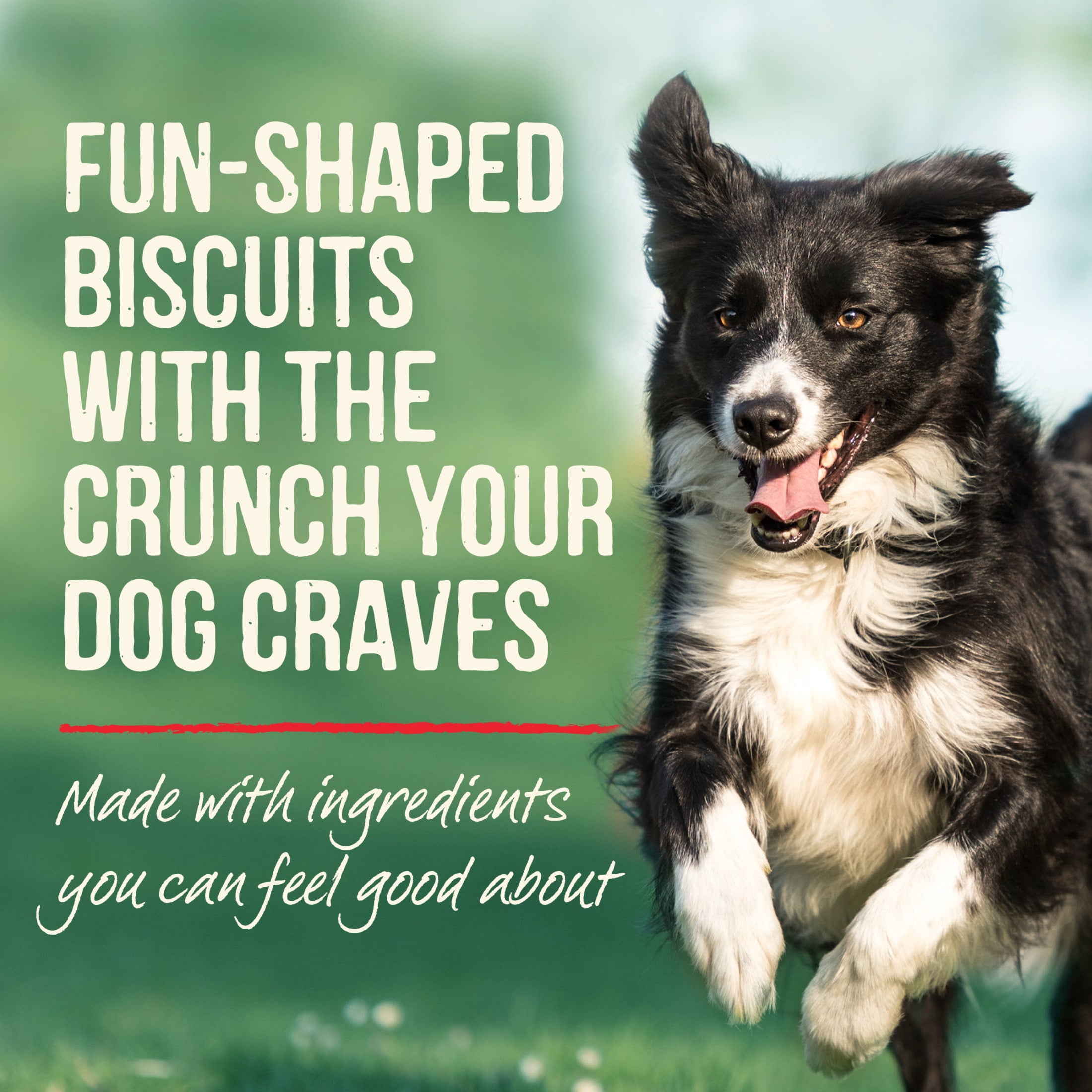 Merrick Oven Baked Natural Dog Treats with Real Peanut Butter Flavor, 11 oz Pouch
