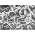 thumbnail image 1 of Ahgly Company Indoor Rectangle Abstract Gray Modern Area Rugs, 4' x 6', 1 of 4