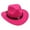 Rose Red, variant on Segolike Western Cowboy Hat Wide Brim Hat Events Summer Children Fishing Camping Decorative Photo Props Performance Cap Outdoor Cowgirl Hat Disco Hat Brown