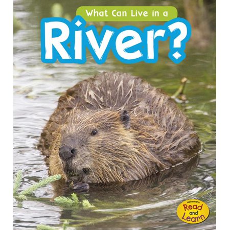 ISBN 9781484605752 product image for Read and Learn: What Can Live There?: What Can Live in the River? (Hardcover) | upcitemdb.com