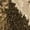 Gold, variant on Women Fashion Fringe Fall Jackets for Women Casual Suede Leather Jackets Fashion Casual Cardigan Jackets for Women Tassel Motorcycle Cropped Coats