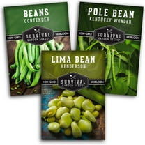 3 packs Bean Seed Collection - Contender Bush, Kentucky Wonder Pole, Henderson Lima - Full Sun Annual Vegetable