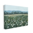 thumbnail image 4 of Stupell Industries Traditional Daisy Meadow Landscape Painting Gallery Wrapped Canvas Art Print Wall Art, 40 x 30, 4 of 8