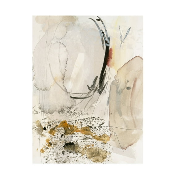 Trademark Fine Art Melissa Wang Sands & Sediments I Canvas Wall Art