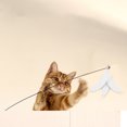thumbnail image 4 of Varita para Gatos ANGGREK Juguete Interactivo Con Ventosa, 4 of 7