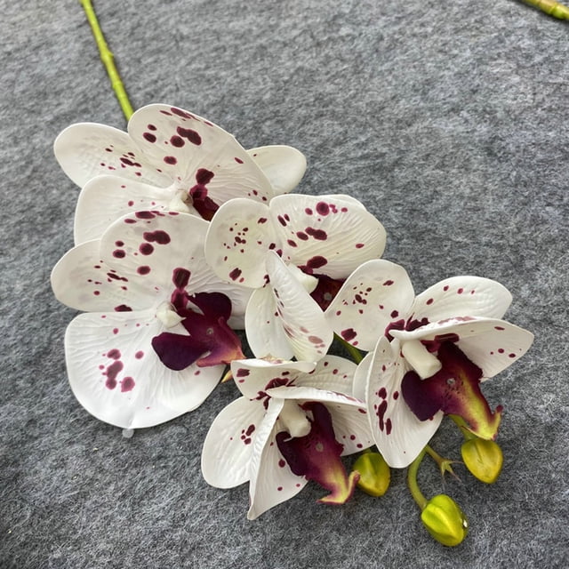 Real Touch Artificial Butterfly Orchids Flower Fake Flower Decor Table Ornament