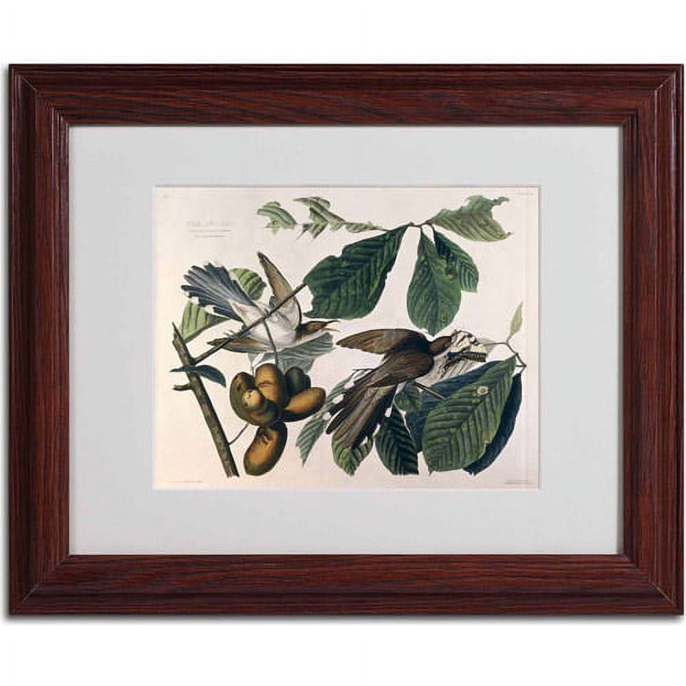 Trademark Fine Art "Yellow-Billed Cuckoo" Canvas Art by John James Audubon, Wood Frame