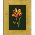thumbnail image 2 of Unknown 12x14 Black Ornate Wood Framed with Double Matting Museum Art Print Titled - Tulip in Frame I, 2 of 4
