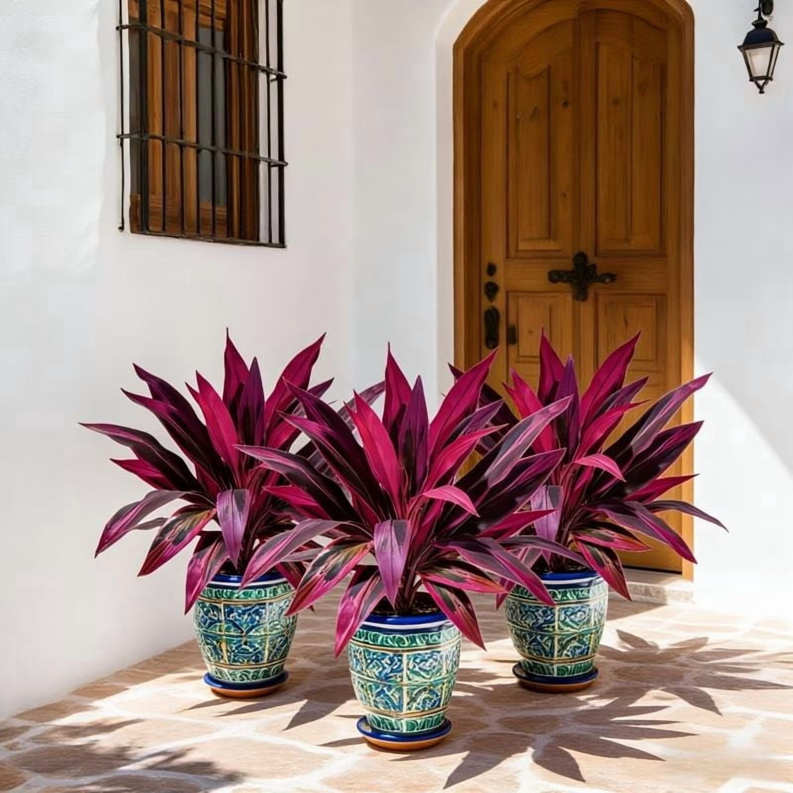 2PCS Artificial Red Cordyline Plant, 23.6 Inch Tall Faux Ti Plant with White Pot, UV Resistant Fake Outdoor Indoor Plants for Home Porch Garden Decor
