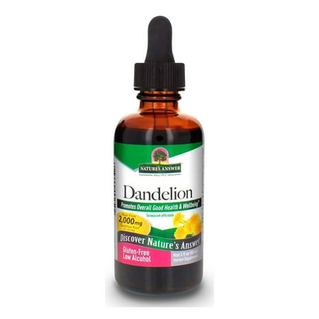 Nature's Answer Bacopa Standardized Capsules, 90 Ct
