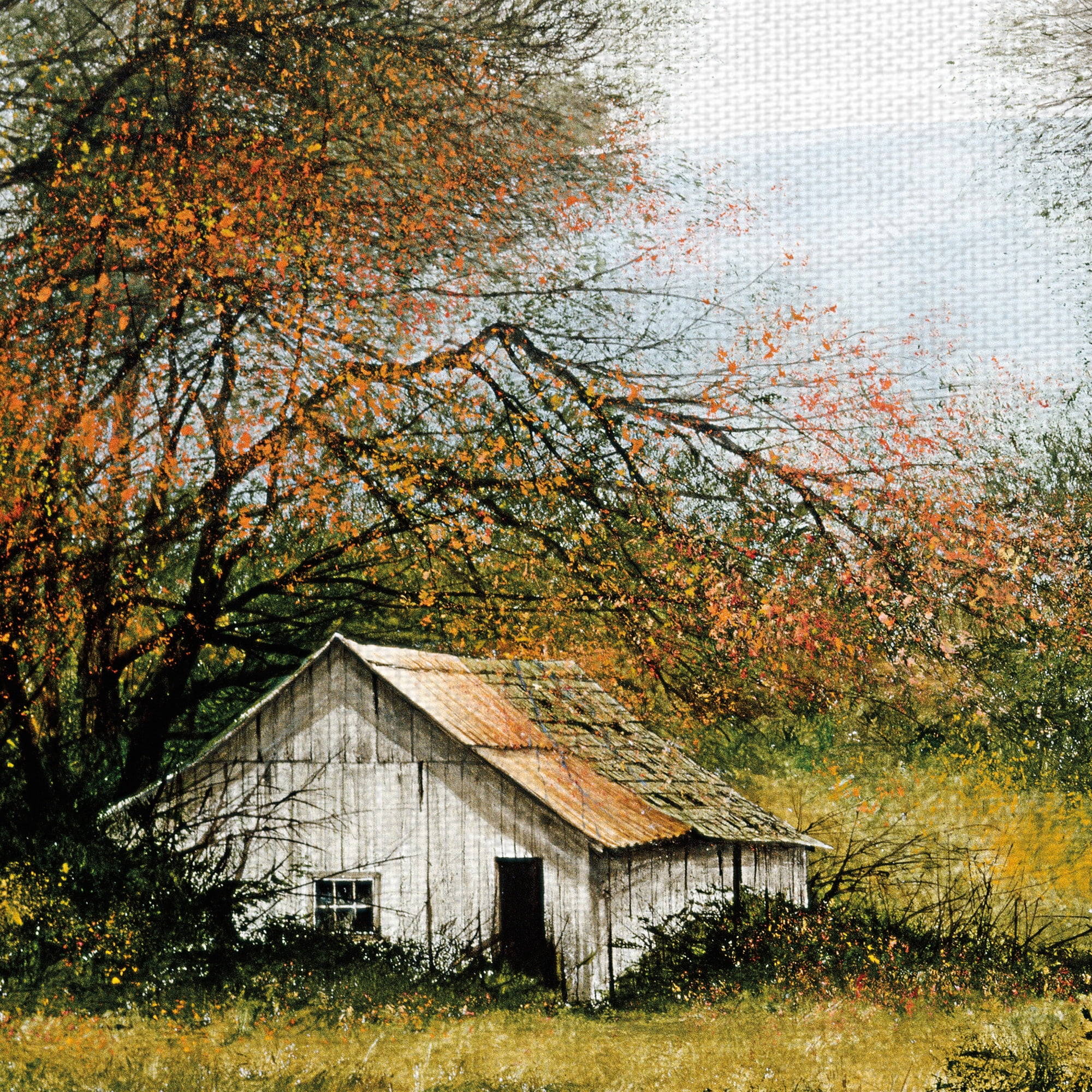 Masterpiece Art Gallery Forwarding Order Expired Autumn Nature Road by Miguel Dominguez Canvas Art Print 30" x 40"