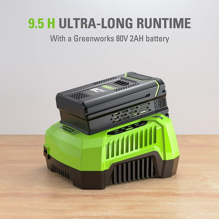 mappskg様 アマゾングリーン 24 Greenworks 80V Backpack Sprayer 4 Gallon,Battery Powered Backpack