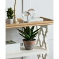 thumbnail image 3 of CC Home Furnishings Potted Artificial Plush Cactus Plant - 9.5", 3 of 9