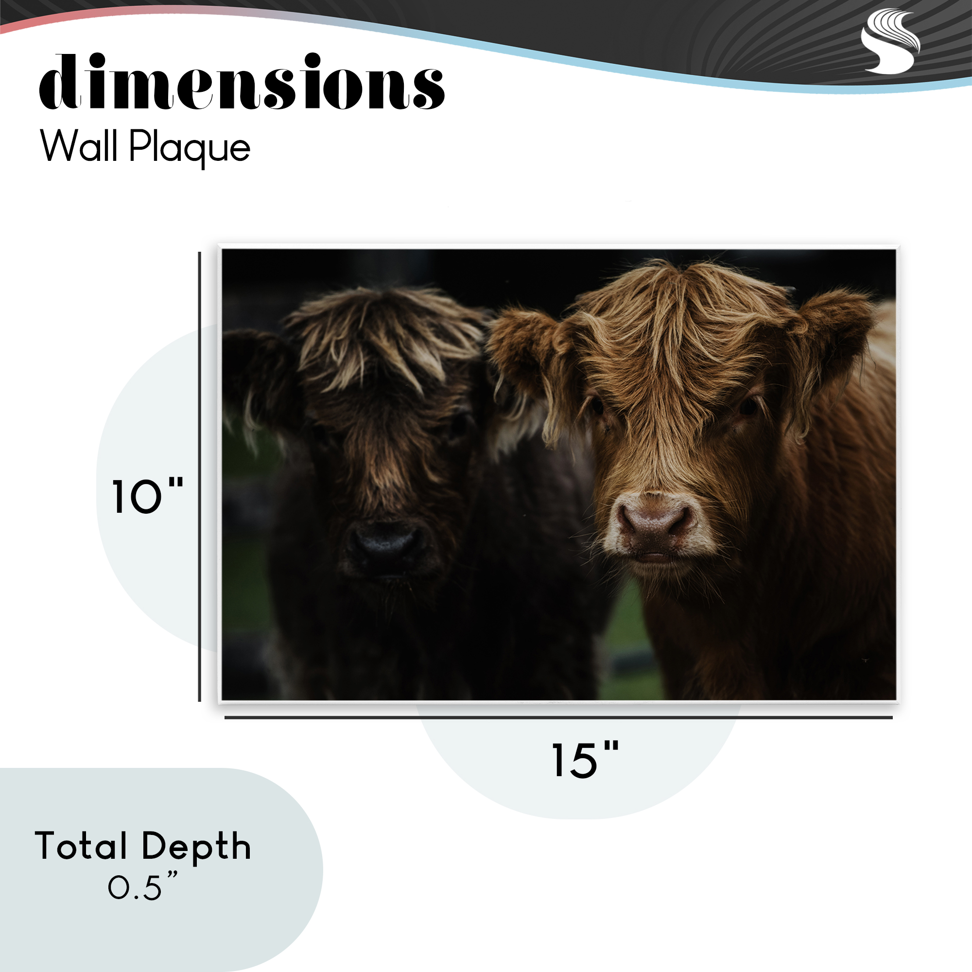 Cow Faces Highland Pair Wall Plaque Art, design by Amy Carroll