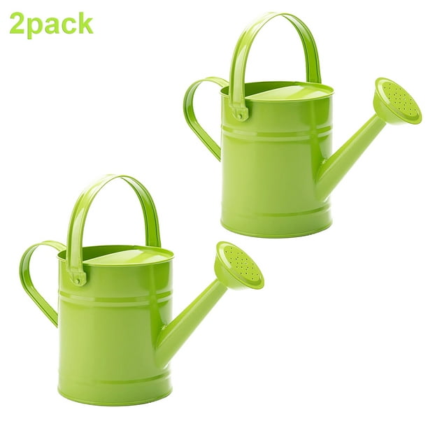 Small Watering Can for Indoor Plants with Shower Head