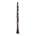 thumbnail image 1 of ABS 17-Key Clarinet Bb Flat with Carry Case Gloves Cleaning Cloth Mini Screwdriver Reed Case 10pcs Reeds Woodwind Instrument, 1 of 7