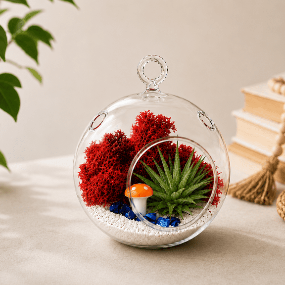 Creations by Nathalie - DIY Terrarium Kit with Live Air Plant (Local & Fresh from Florida), Glass Globe, Reindeer Moss, Figurine, Healing Crystal Chips and Sand - Handmade in USA