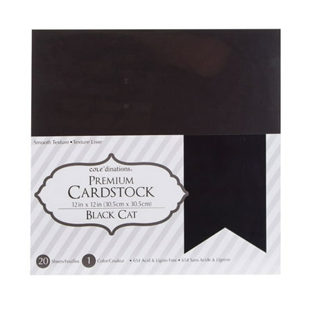 - Cardstk Valuepack Black Cat 65Lbsmooth 12X12 20Pk