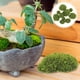 thumbnail image 4 of 12 piezas de rocas decorativas de musgo artificial, piedras de musgo artificial para decoración de jardín exterior., 4 of 7