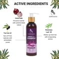 thumbnail image 4 of Senshades 100% Natural Onion Shampoo (Pack Of 1 (200Ml) | Controls Dandruff & Hair Fall With Plant Keratin | Silicone & Paraben Free | Unisex, 4 of 5