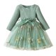 thumbnail image 1 of Odeerbi Niñas Floral Bordado Tul Vestido Manga Larga Rib Knit Vestido Fiesta Princesa Vestidos Primavera Otoño Ruffled Encaje Malla Lazo Vestido, 1 of 5