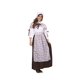 thumbnail image 1 of COLONIAL BELLA-AZUL-ADT MD RG Costumes 81362-M, 1 of 1