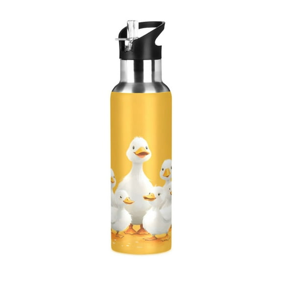ALAZA Cute Ducks Water Bottle Insulated Flask Stainless Steel Straw Lid 20 oz