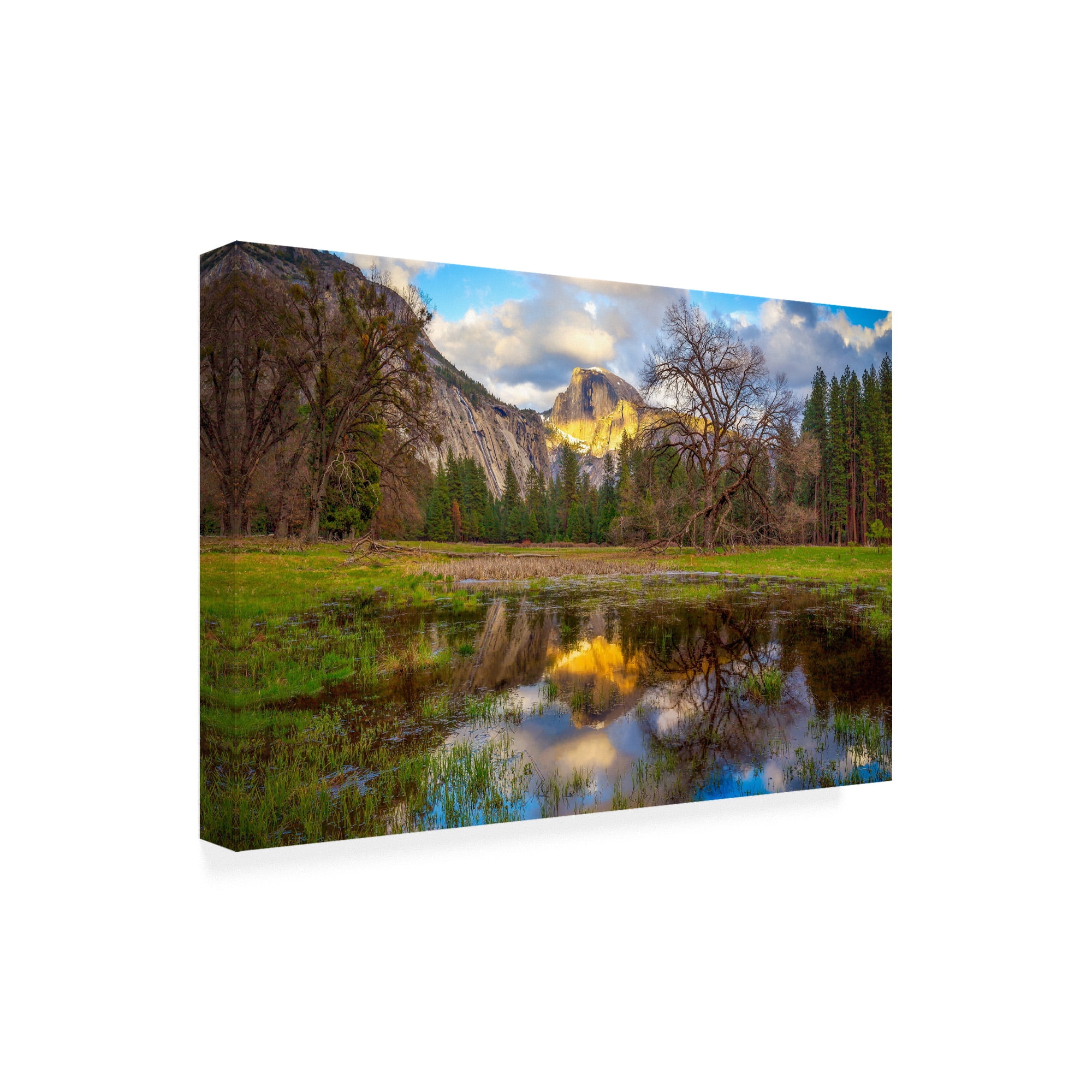 Trademark Fine Art 'A Mothers Tree' Canvas Art by Dave Gordo