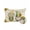 Beige, variant on 1 Pack Outdoor Pillows Waterproof, Sunflowers Gnomes Indoor/Outdoor Throw Pillows with Inserts, Eucalyptus Spring Linen Texture Decorative Pillow for Patio Furniture Chairs Couch