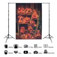 thumbnail image 2 of EeaseCA Halloween Pumpkin Photography Background Cloth Hanging Backdrop Studio Prop, 2 of 8