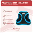 thumbnail image 3 of GFDYREE Step in Dog Harness for Small Dogs No Pull, Small, Black w/Cobalt Blue Trim - Adjustable Harness with Padded Mesh Fabric and Reflective Trim - Buckle Strap Harness for Dogs, 3 of 7