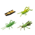 thumbnail image 5 of Cricket Life Cycle Of A Growth Stage Model Educational Plant Growth Cycle Toy, 5 of 5