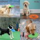 thumbnail image 3 of 15/18/22cm Fashion Dog Toy Flying Discs Pet Dogs Silicone Game Trainning Interactive Puppy Toys Puppy Pet Supplies ShopWise Round, 3 of 12