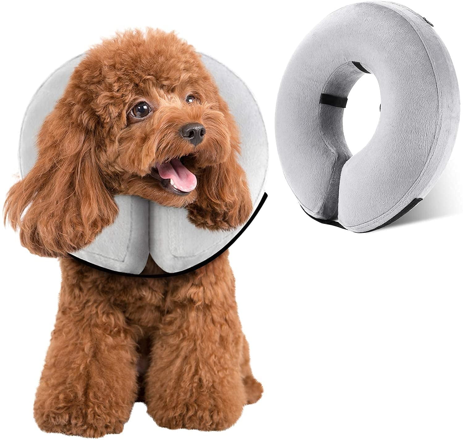 Can Dogs Sleep With Cone On