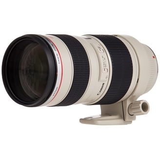 Canon EF 70-300mm f/4-5.6 L IS USM DSLR Camera Zoom Lens - Walmart.com