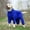 Blue, variant on Pet Dog Raincoat Reflective Waterproof Zipper Clothes High Neck Hooded Jumpsuit for Small Big Dogs Overalls Rain Cloak Labrador