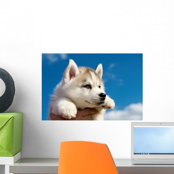 Siberian Husky Dog Puppy Wall Mural by Wallmonkeys Peel and Stick Graphic (18 in W x 12 in H) WM222605