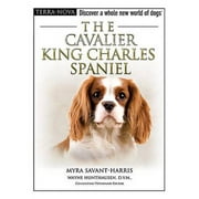 Terra-Nova: The Cavalier King Charles Spaniel (Other)