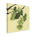 thumbnail image 2 of Trademark Fine Art 'Gingko Leaves I Dark' Canvas Art by Chris Paschke, 2 of 3